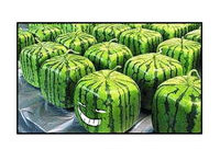 太久tai9吃瓜爆料,揭秘娱乐圈幕后真相